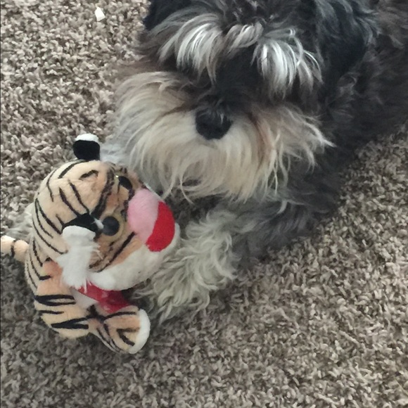 Meet your Posher, Terri - Picture 8 of 12